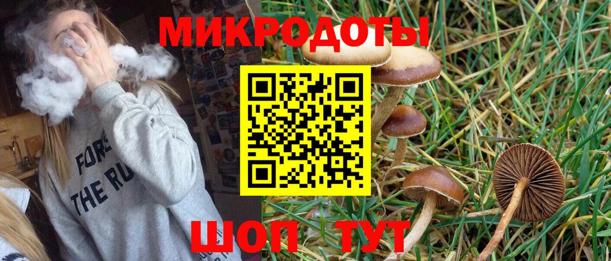 Тверь  Псилоцибиновые грибы GOLDEN TEACHER  Вход с VPN 
