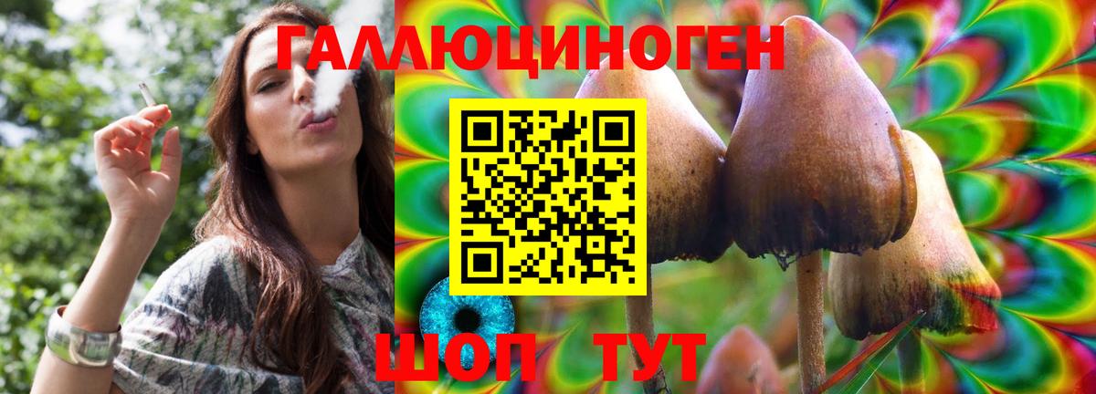Галлюциногенные грибы Cubensis Тверь