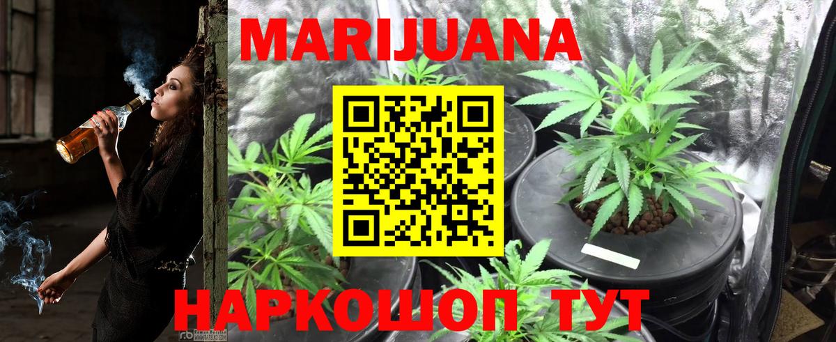 Бошки марихуана тримм  Вход с VPN  Марихуана конопля  Бошки марихуана семена  Тверь 